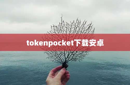 tokenpocket下载安卓