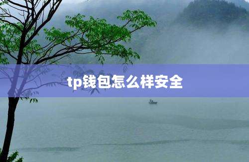 tp钱包怎么样安全