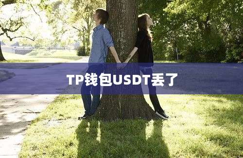 TP钱包USDT丢了