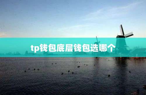 tp钱包底层钱包选哪个