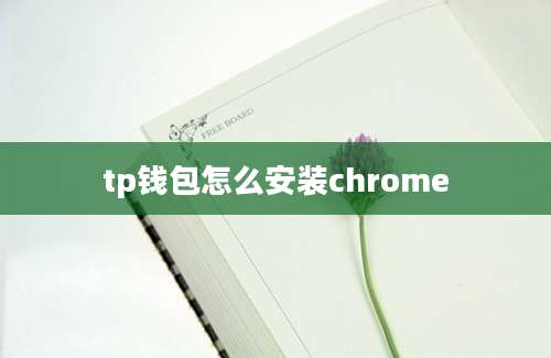 tp钱包怎么安装chrome