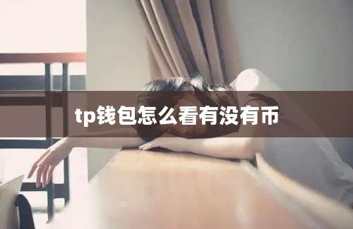 tp钱包怎么看有没有币