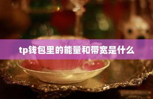 tp钱包里的能量和带宽是什么