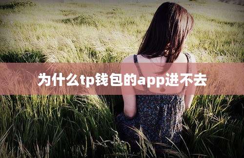 为什么tp钱包的app进不去