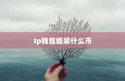 tp钱包能装什么币