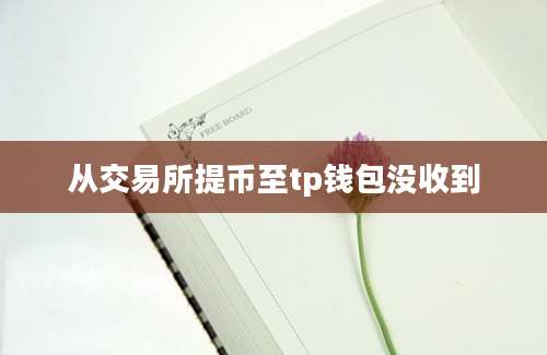 从交易所提币至tp钱包没收到