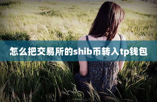 怎么把交易所的shib币转入tp钱包