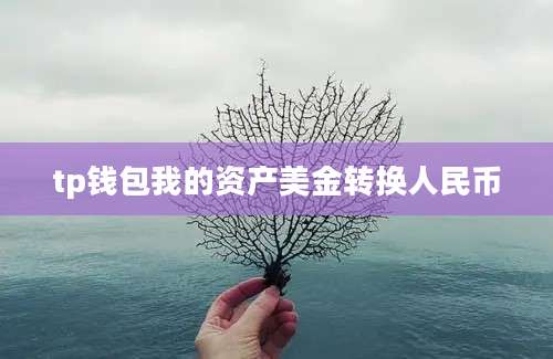 tp钱包我的资产美金转换人民币