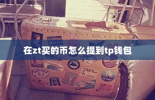 在zt买的币怎么提到tp钱包