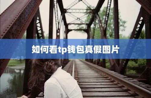 如何看tp钱包真假图片