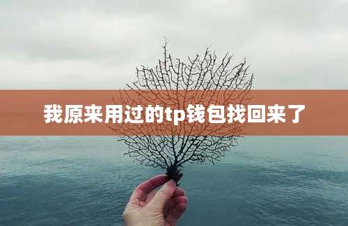 我原来用过的tp钱包找回来了