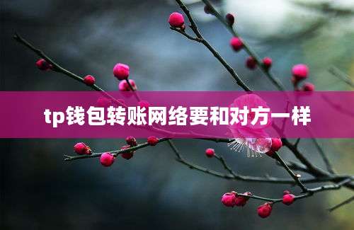 tp钱包转账网络要和对方一样