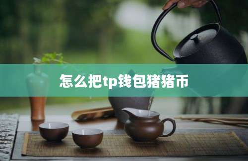 怎么把tp钱包猪猪币