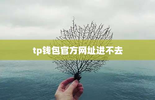 tp钱包官方网址进不去