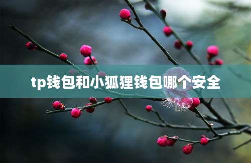 tp钱包和小狐狸钱包哪个安全