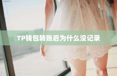 TP钱包转账后为什么没记录
