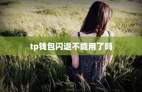 tp钱包闪退不能用了吗