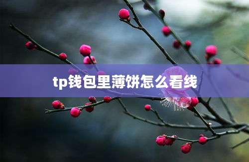 tp钱包里薄饼怎么看线