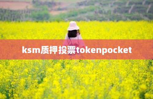 ksm质押投票tokenpocket