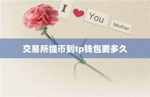 交易所提币到tp钱包要多久