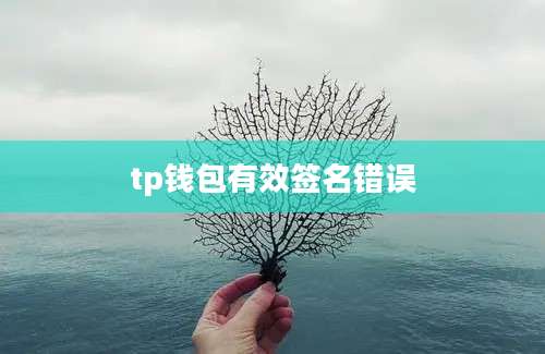 tp钱包有效签名错误