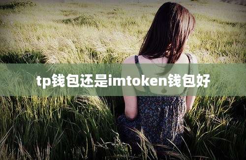 tp钱包还是imtoken钱包好