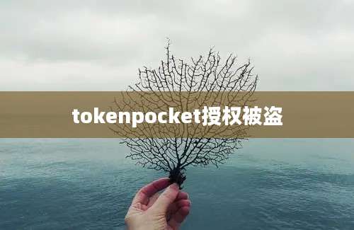 tokenpocket授权被盗