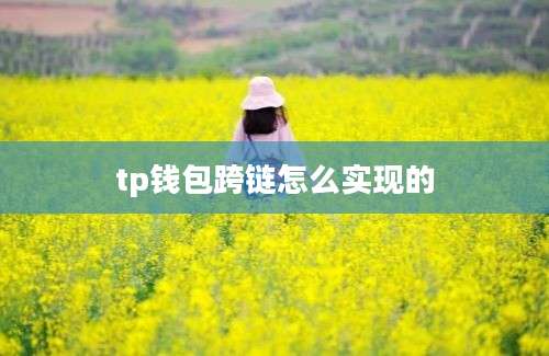 tp钱包跨链怎么实现的