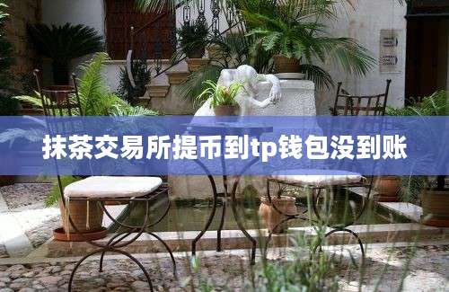 抹茶交易所提币到tp钱包没到账