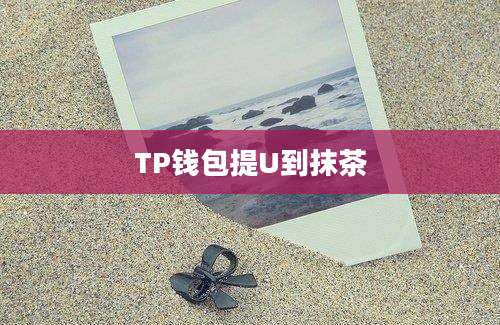 TP钱包提U到抹茶
