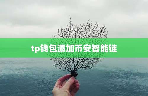 tp钱包添加币安智能链