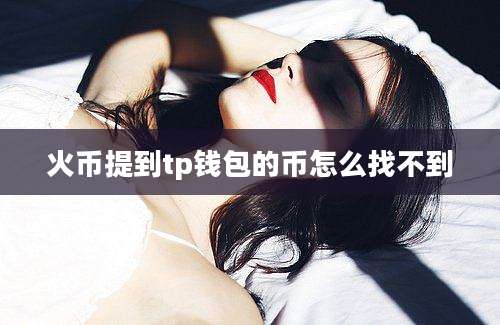 火币提到tp钱包的币怎么找不到