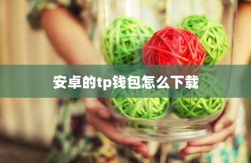 安卓的tp钱包怎么下载