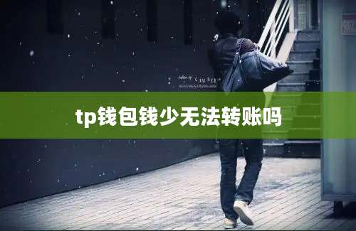 tp钱包钱少无法转账吗