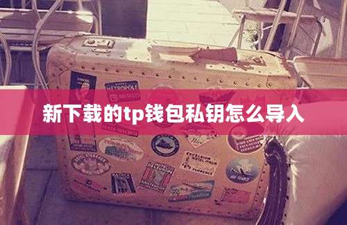新下载的tp钱包私钥怎么导入