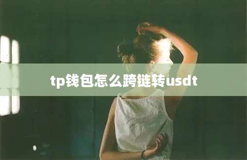 tp钱包怎么跨链转usdt