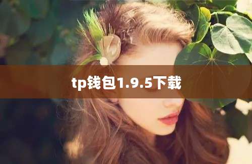 tp钱包1.9.5下载