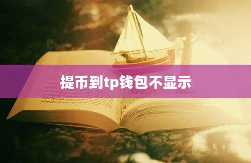 提币到tp钱包不显示