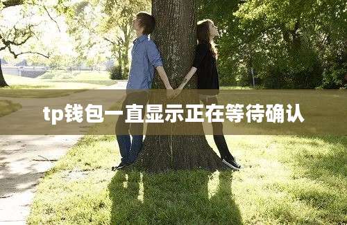 tp钱包一直显示正在等待确认