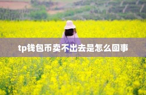 tp钱包币卖不出去是怎么回事