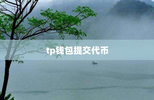 tp钱包提交代币