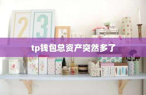 tp钱包总资产突然多了