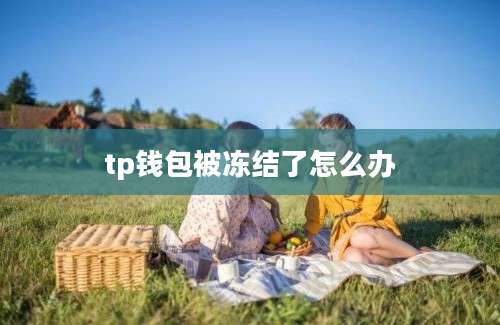 tp钱包被冻结了怎么办