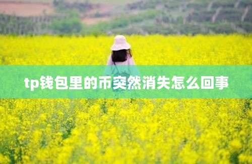tp钱包里的币突然消失怎么回事