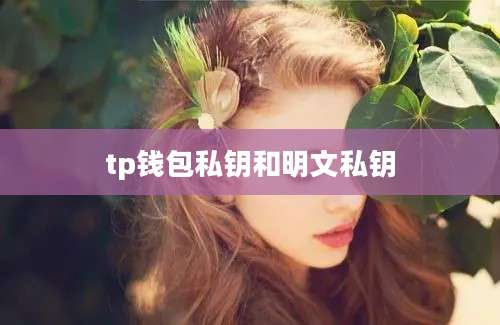 tp钱包私钥和明文私钥
