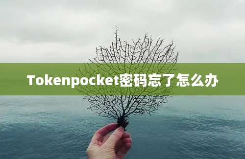 Tokenpocket密码忘了怎么办