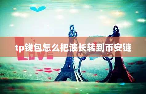 tp钱包怎么把波长转到币安链