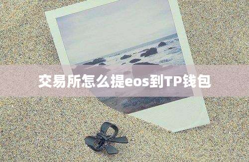 交易所怎么提eos到TP钱包