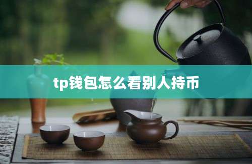 tp钱包怎么看别人持币