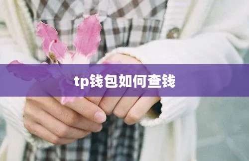tp钱包如何查钱